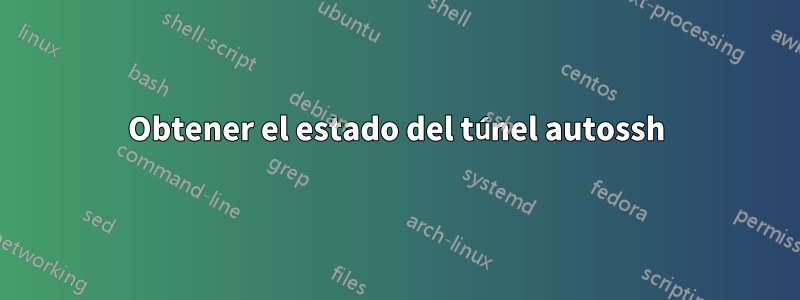 Obtener el estado del túnel autossh