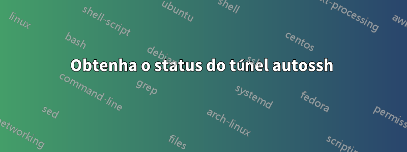 Obtenha o status do túnel autossh