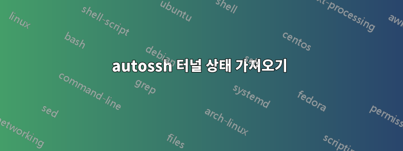 autossh 터널 상태 가져오기