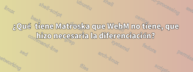 ¿Qué tiene Matroska que WebM no tiene, que hizo necesaria la diferenciación?