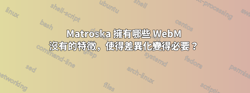 Matroska 擁有哪些 WebM 沒有的特徵，使得差異化變得必要？