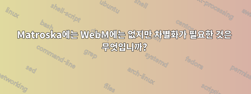 Matroska에는 WebM에는 없지만 차별화가 필요한 것은 무엇입니까?