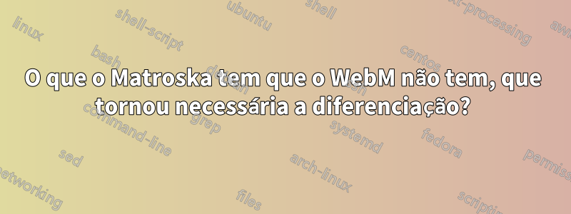 O que o Matroska tem que o WebM não tem, que tornou necessária a diferenciação?