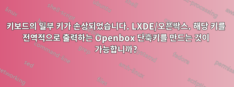 키보드의 일부 키가 손상되었습니다. LXDE/오픈박스. 해당 키를 전역적으로 출력하는 Openbox 단축키를 만드는 것이 가능합니까?