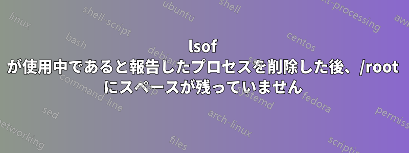 lsof が使用中であると報告したプロセスを削除した後、/root にスペースが残っていません