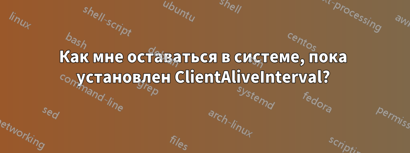 Как мне оставаться в системе, пока установлен ClientAliveInterval?