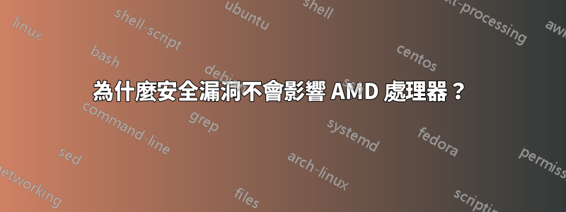 為什麼安全漏洞不會影響 AMD 處理器？