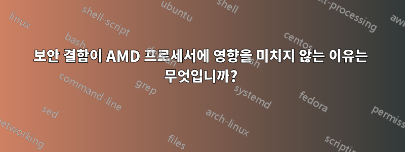 보안 결함이 AMD 프로세서에 영향을 미치지 않는 이유는 무엇입니까?