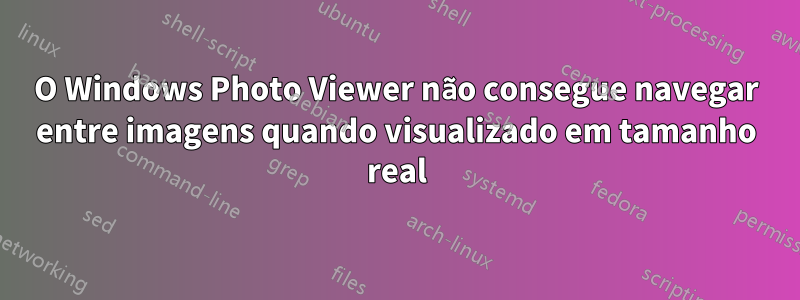 O Windows Photo Viewer não consegue navegar entre imagens quando visualizado em tamanho real