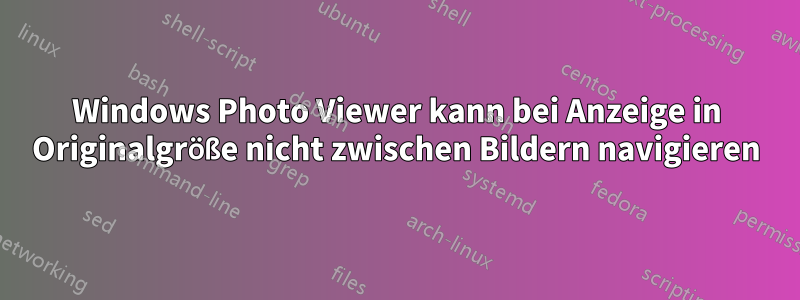 Windows Photo Viewer kann bei Anzeige in Originalgröße nicht zwischen Bildern navigieren