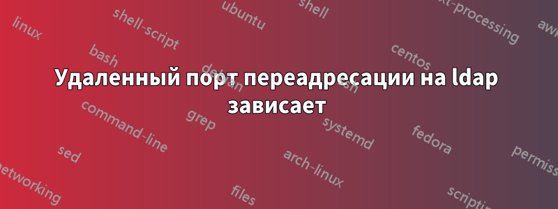 Удаленный порт переадресации на ldap зависает