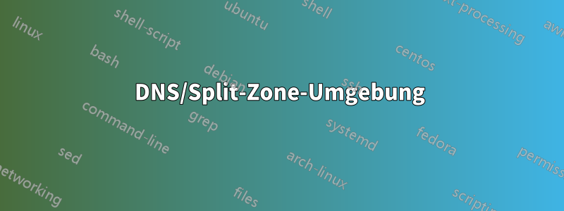 DNS/Split-Zone-Umgebung