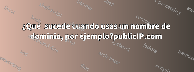 ¿Qué sucede cuando usas un nombre de dominio, por ejemplo?publicIP.com