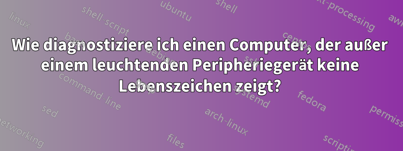 Wie diagnostiziere ich einen Computer, der außer einem leuchtenden Peripheriegerät keine Lebenszeichen zeigt?