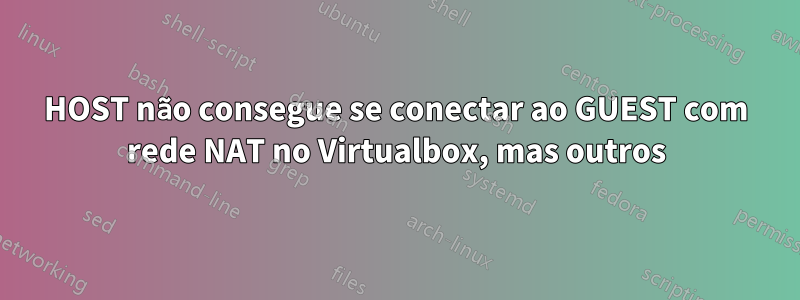 HOST não consegue se conectar ao GUEST com rede NAT no Virtualbox, mas outros