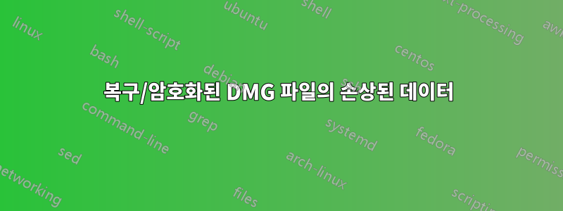 복구/암호화된 DMG 파일의 손상된 데이터