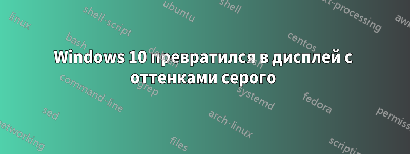 Windows 10 превратился в дисплей с оттенками серого