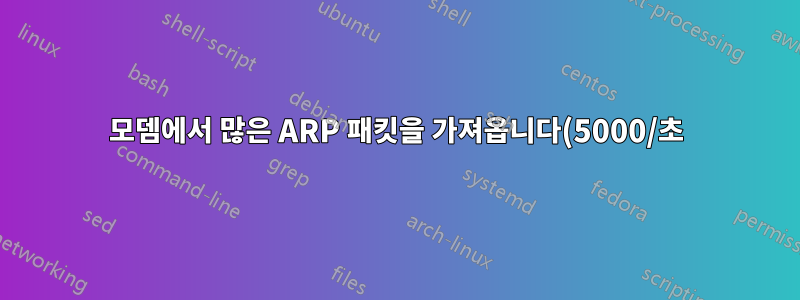 모뎀에서 많은 ARP 패킷을 가져옵니다(5000/초). 왜?