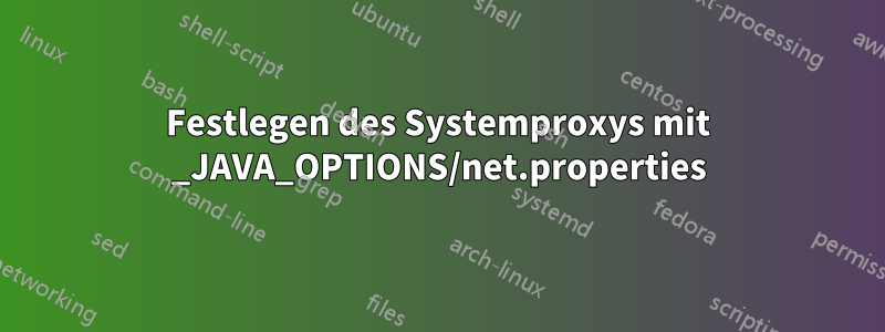 Festlegen des Systemproxys mit _JAVA_OPTIONS/net.properties