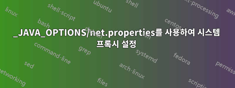 _JAVA_OPTIONS/net.properties를 사용하여 시스템 프록시 설정