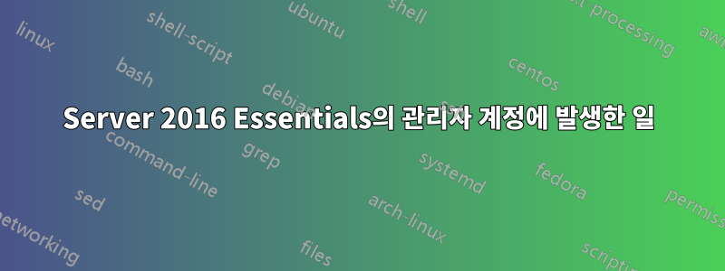 Server 2016 Essentials의 관리자 계정에 발생한 일