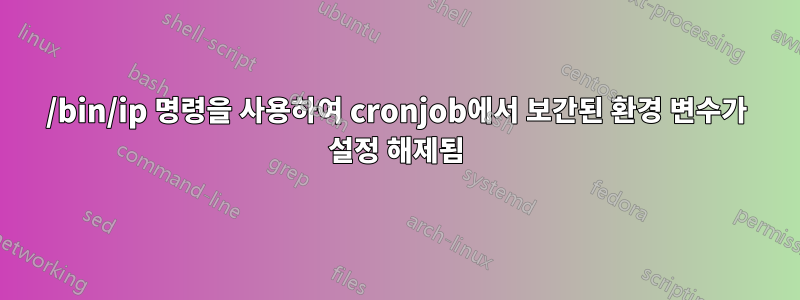 /bin/ip 명령을 사용하여 cronjob에서 보간된 환경 변수가 설정 해제됨