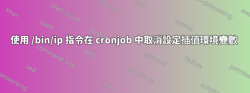 使用 /bin/ip 指令在 cronjob 中取消設定插值環境變數