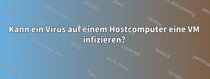 Kann ein Virus auf einem Hostcomputer eine VM infizieren?