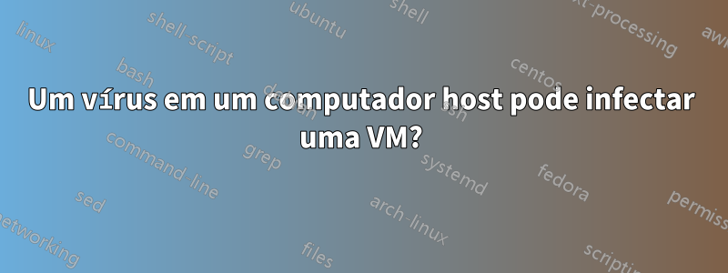 Um vírus em um computador host pode infectar uma VM?