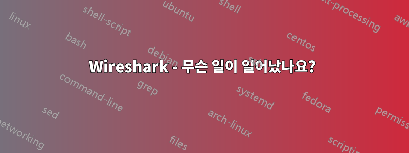 Wireshark - 무슨 일이 일어났나요?