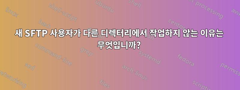 새 SFTP 사용자가 다른 디렉터리에서 작업하지 않는 이유는 무엇입니까?