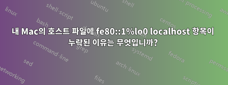내 Mac의 호스트 파일에 fe80::1%lo0 localhost 항목이 누락된 이유는 무엇입니까?