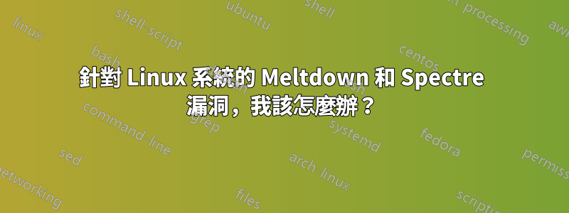 針對 Linux 系統的 Meltdown 和 Spectre 漏洞，我該怎麼辦？