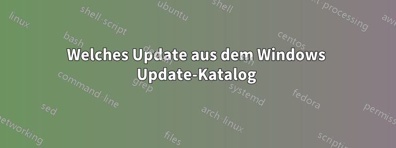 Welches Update aus dem Windows Update-Katalog