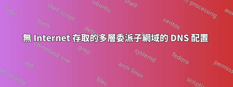 無 Internet 存取的多層委派子網域的 DNS 配置