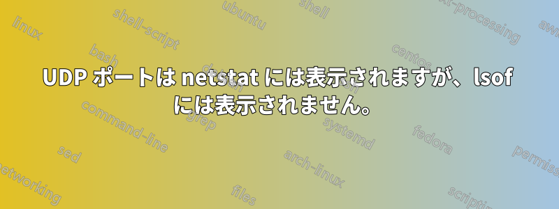 UDP ポートは netstat には表示されますが、lsof には表示されません。