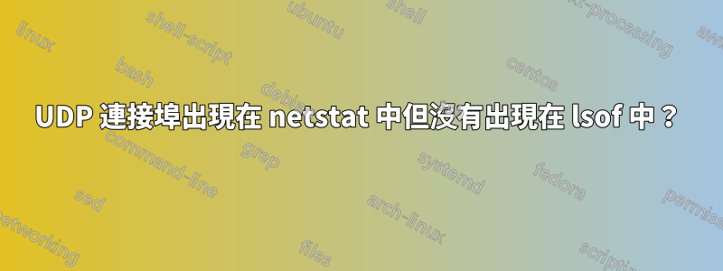 UDP 連接埠出現在 netstat 中但沒有出現在 lsof 中？