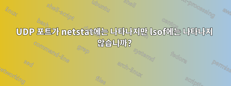 UDP 포트가 netstat에는 나타나지만 lsof에는 나타나지 않습니까?