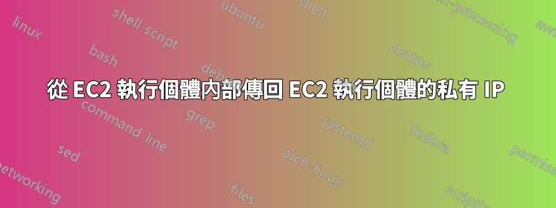 從 EC2 執行個體內部傳回 EC2 執行個體的私有 IP