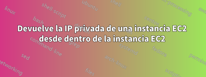 Devuelve la IP privada de una instancia EC2 desde dentro de la instancia EC2