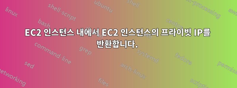 EC2 인스턴스 내에서 EC2 인스턴스의 프라이빗 IP를 반환합니다.