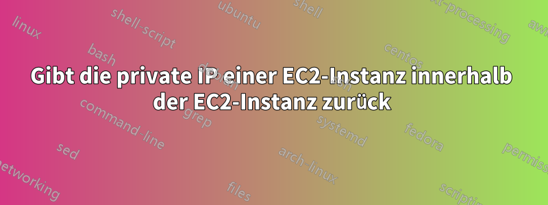 Gibt die private IP einer EC2-Instanz innerhalb der EC2-Instanz zurück