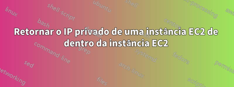 Retornar o IP privado de uma instância EC2 de dentro da instância EC2