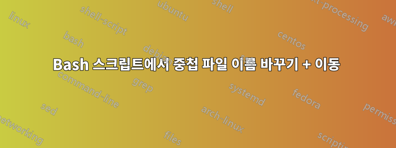 Bash 스크립트에서 중첩 파일 이름 바꾸기 + 이동