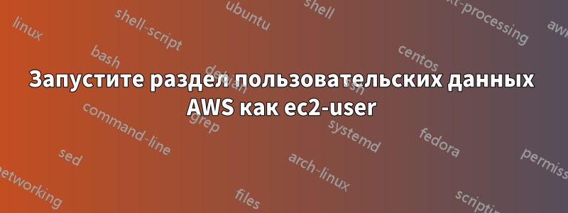 Запустите раздел пользовательских данных AWS как ec2-user