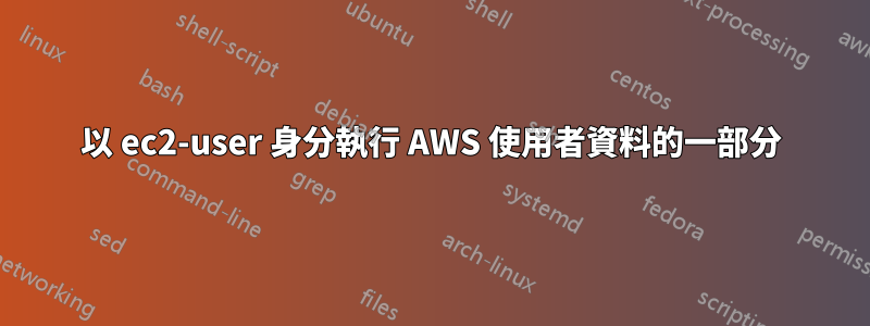 以 ec2-user 身分執行 AWS 使用者資料的一部分