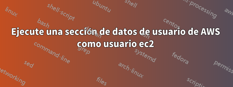 Ejecute una sección de datos de usuario de AWS como usuario ec2