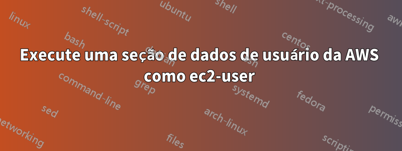 Execute uma seção de dados de usuário da AWS como ec2-user