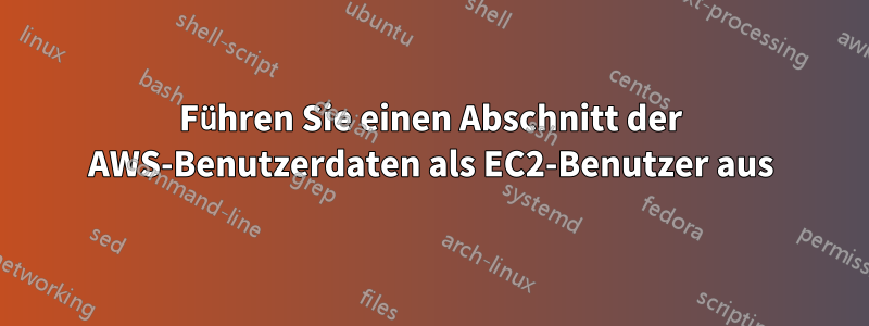 Führen Sie einen Abschnitt der AWS-Benutzerdaten als EC2-Benutzer aus