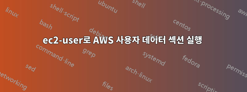 ec2-user로 AWS 사용자 데이터 섹션 실행